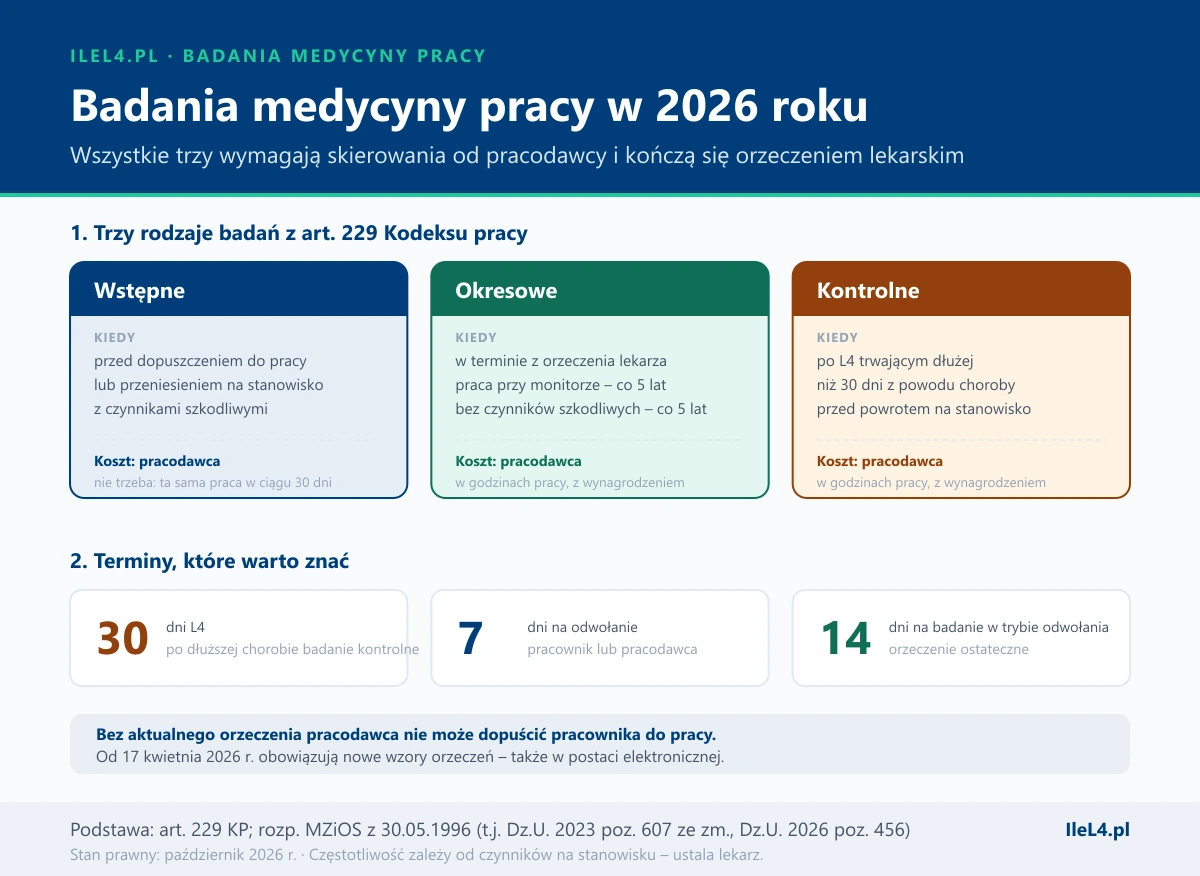 Grafika w dwóch częściach: trzy karty rodzajów badań – wstępne przed dopuszczeniem do pracy lub przeniesieniem na stanowisko z czynnikami szkodliwymi, okresowe w terminie z orzeczenia lekarza, przy pracy przy monitorze i bez czynników szkodliwych co 5 lat, kontrolne po L4 dłuższym niż 30 dni – każde na koszt pracodawcy; poniżej trzy terminy: 30 dni L4, 7 dni na odwołanie i 14 dni na badanie odwoławcze